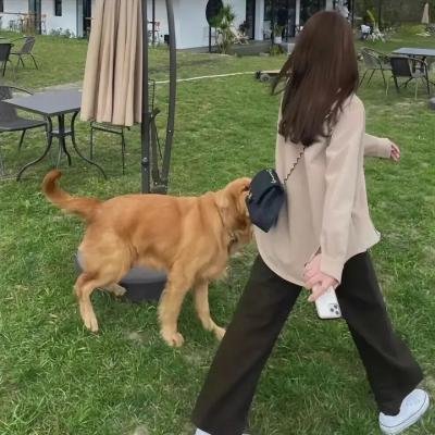 这个杀手不改需求