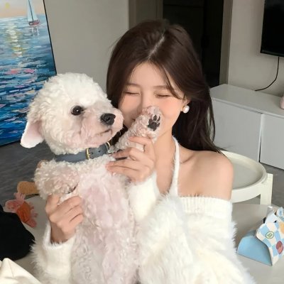 萌犬好声音2